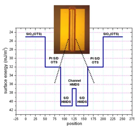 Fig. 6. Surface energy diagram for the OTFT devices.820 K.-J. Chang et al. / Organic Electronics 10 (2009) 815–821