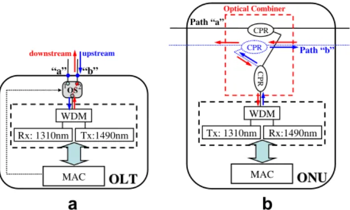 Fig. 5. Transmission direction of downstream and upstream signal, respectively, when the traﬃc is in path ‘‘b” and a ﬁber fault occurs at path ‘‘a”.