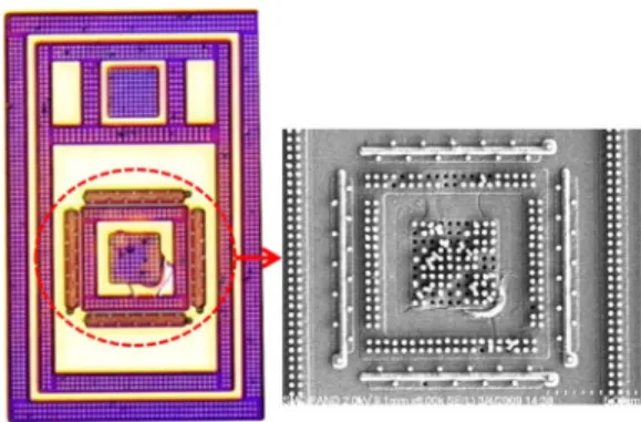 Fig. 10 shows the scanning-electron-microscope (SEM) failure analysis result of the SSP-ESD device after the +3.5 kV/V SS HBM zapping event