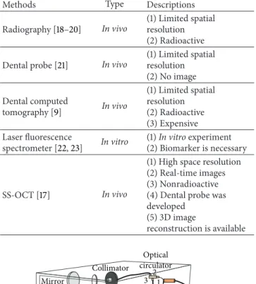 Figure 1: Setup of the dental OCT. The incident light separates into two arms (reference arm and sampling arm) and is recoupled in another optical coupler for interference