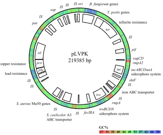 Fig. 1. Map of the pLVPK plasmid. The circle map shows the major features of the plasmid including the replication origins (ori), partition regions (par, sop), major gene clusters, and IS elements (IS)
