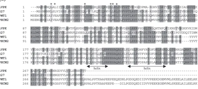 Fig. 7. The repA and the iteron sequences at the replication origin. (a) Sequence alignment of the repA from pLVPK (LVPK), R27 of S