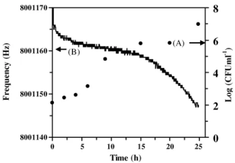 Fig. 4. Growth (A) and frequency response curves (B) of E. coli in asep- asep-tic milk at 37 ◦ C using the SPQC sensor with inoculums of approximately 10 2 CFU ml −1 