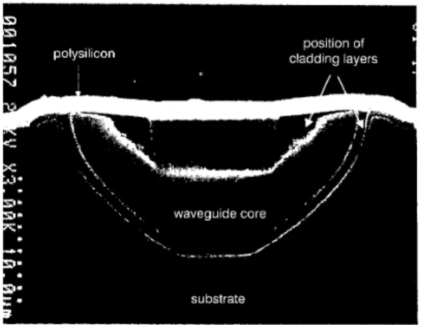 Fig.  1  SEM  micrograph  of  cross-section of  porous  silicon  waveguide  formed  using  9p-n  wide mask 