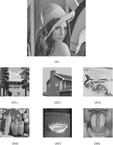 Fig. 3. Inputs: (a) 512 × 512 secret image, Lena; (b) 256 × 256 host images.
