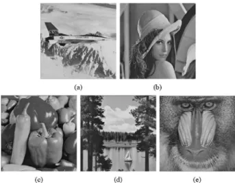 Fig. 3 Five input grayscale images in the n = 5 case.
