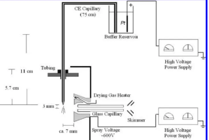 Figure 2a presents the ESI mass spectrum of cytochrome c obtained after applying a high voltage only on the sample reservoir (to drive the sample solution through the capillary) and using the pulled bare-capillary outlet tip directly as the ESI emitter; th