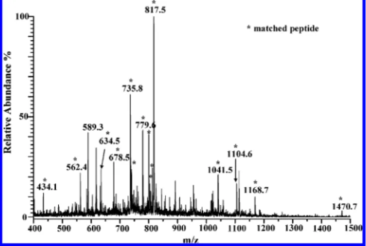 Figure 10a displays the electropherogram obtained by CE-ESI mass spectrometric analysis of the cytochrome c tryptic digest product; Figure 10b presents the ion currents reconstructed for