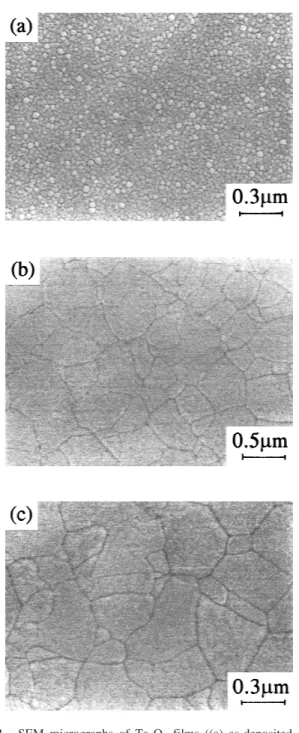 Fig. 3. Leakage current density versus applied electric field for amorphous and polycrystalline Ta 2 O 5 films processed via RTA for 30