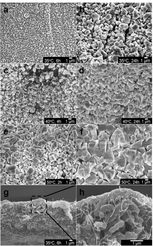 Fig. 5. Cross-section SEM images of iodine-doped (aef) SQI 0.1 ﬁlms, and (g, h) 20NT/5CMK/SQI 0.1 ﬁlm.