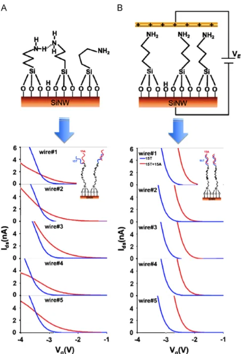 Fig. 4. Comparison of the effect of E-ﬁeld alignment on the detection of DNA hybridization