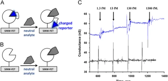 Fig. 5. A strategy on detection of an uncharged steroid, 19-NA. The detection of steroid by a SiNW-FET with (A) or without (B) the designed receptor