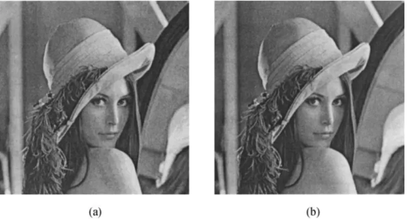 Fig. 3. Experimental results of embedding randomly generated decimal digits (512 × 512 digits and each digit is 0–9) in Lena: (a) is the resulting image obtainedby the simple LSB method, (b) is the resulting image obtainedby the proposedmethod