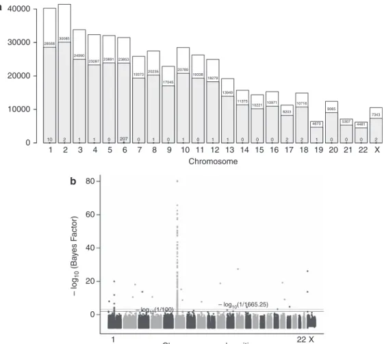 Figure 2 (a) Grey bars represent the numbers of SNPs passing the quality control filters for the corresponding chromosomes