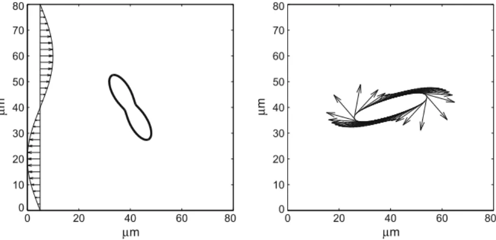 Fig. 2. The conﬁguration of a single vesicle suspended in the shear ﬂow u 0 ¼ c  2 D p sinð2 p y=DÞ; 0