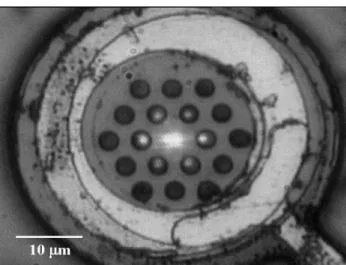Figure 6. Near-field image of the InGaAs SML QD PhC-VCSEL at 10 mA.