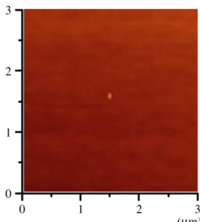 Figure 4. A 3 × 3 µm 2 AFM image of a single QD grown on a GaAs