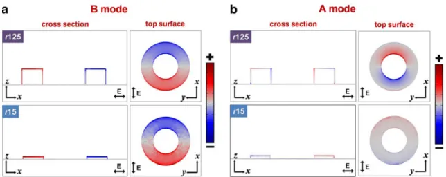 Fig. 5 Charge distribution profiles of the a B and b A modes in gold NRs with slab thicknesses of 125 nm (top) and 15 nm (bottom) for the cross- cross-sectional view (left) and top surface (right)