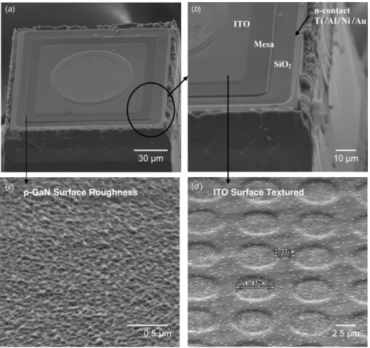 Figure 2. Scanning electron microscope (SEM) images of (a) chip profile, (b) detailed description, (c) top view of p-GaN surface roughness