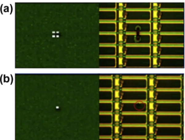 Fig. 5. The artiﬁcial point defects: (a) pixel to pixel and (b) pixel point.