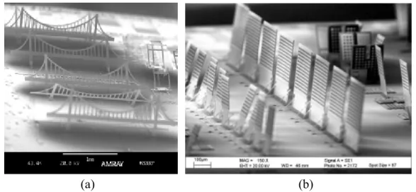 Figure 1-18 Batch assembly by centrifugal force: (a) an array of bridge structures, (b)  an array of micromirrors [13]