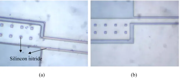 Figure 3-4 After the silicon nitride RIE, (a) silicon nitride remained on the release  holes, (b) silicon nitride was etched completely