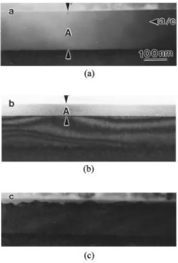 Fig. 1. Cross-sectional of specimen containing 60 nm LPCVD ®lm without ion implantation annealed at annealed at 6008C for 2 h.