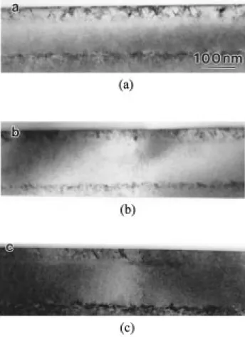 Fig. 5. Cross-sectional view of specimen 221 annealed at 6008C for 1 h.