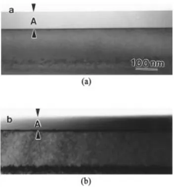 Fig. 13. Cross-sectional views of (a) specimen 12 and (b) specimen 13 annealed at 6008C for 4 h