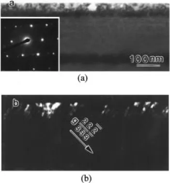 Fig. 16. Cross-sectional views of (a) specimen 111 and (b) specimen 122 annealed at 6008C for 4 h