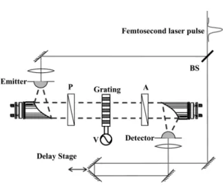 FIGURE 3 Schematic diagram of the THz-TDS system. P: polarizer, A: analyzer, BS: beam splitter, V: bias
