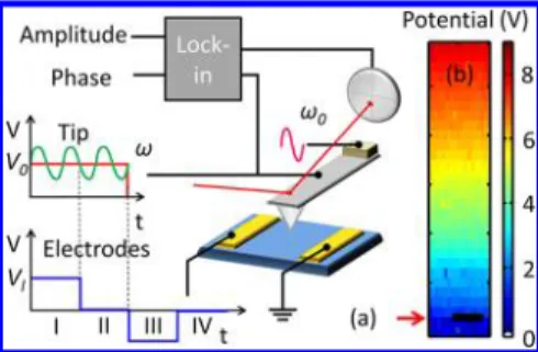 Figure 2. (a) Schematic of the tr-KPFM technique (descrip- (descrip-tion in the text); (b) time-averaged surface potential during polarization by a polarization pulse of 10 V applied between the lateral electrodes; scale bar is 10 μm; red arrow indicates p
