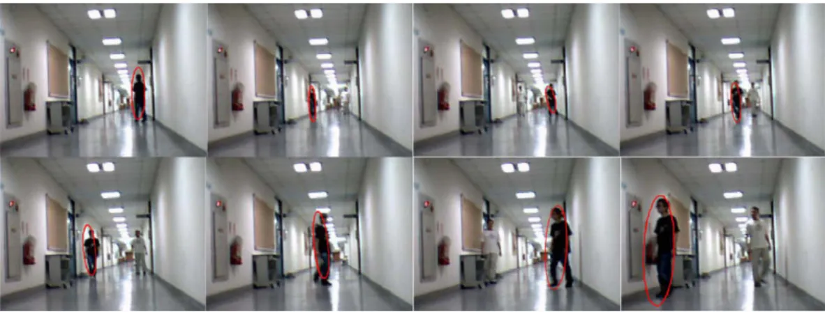 Fig. 8. Walking person tracking results of spatial-color mean-shift tracker1 with PCA scale method (frames 83, 358, 494, 598, 689, 733, 914, and 1000).