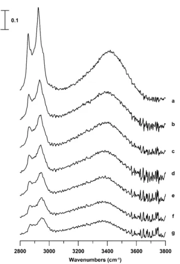 Fig. 3 IR spectra of an Ammoeng 100–D 2 O mixture (10 wt% Ammoeng 100)