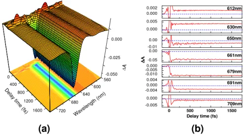 Fig. 2. (a) Birds-eye view of the time-resolved difference absorption spectra of Chl-a