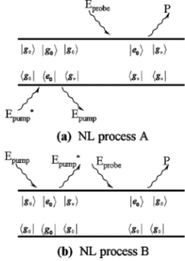 Fig. 2. Double-sided Feynman diagrams of the two nonlinear processes. jg i, jg i, and je i are the same state as described in Fig