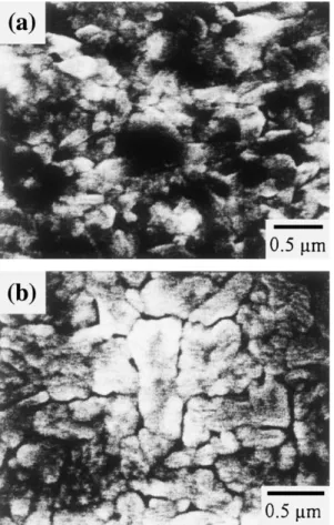 Fig. 3. SEM plan views of Sr 0:8 Bi 2:3 Ta 2 O 9 ﬁlms deposited