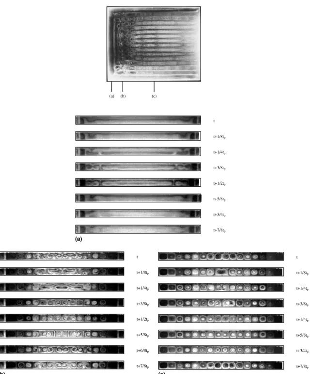 Fig. 6. Top view ﬂow photo for the U-rolls and the corresponding end view ﬂow photos in a typical periodic cycle for Re ¼ 1:0 and Ra ¼ 2000 at (a) z ¼ 1 (t p ¼ 38 s), (b) z ¼ 3:36 ðt p ¼ 203 s) and (c) z ¼ 10:09 (t p ¼ 203 s).