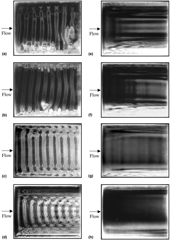 Fig. 2. Top view ﬂow photos at steady or statistical state for Re ¼ 2:0 and (a) Ra ¼ 4000, (b) Ra ¼ 3000, (c) Ra ¼ 2500, (d) Ra ¼ 2000, (e) Ra ¼ 1750, (f) Ra ¼ 1650, (g) Ra ¼ 1500 and (h) Ra ¼ 1200.