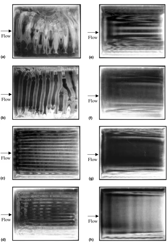 Fig. 3. Top view ﬂow photos at steady or statistical state for Re ¼ 1:0 and (a) Ra ¼ 4000, (b) Ra ¼ 3000, (c) Ra ¼ 2500, (d) Ra ¼ 2000, (e) Ra ¼ 1750, (f) Ra ¼ 1650, (g) Ra ¼ 1500 and (h) Ra ¼ 1200.