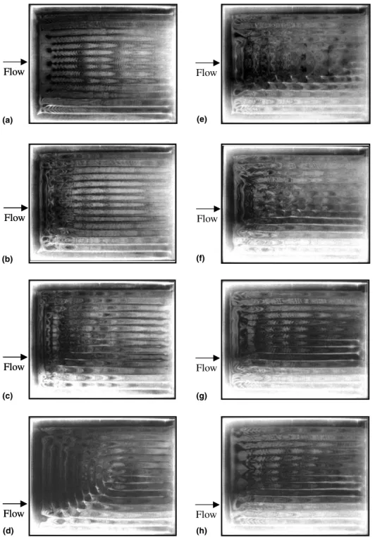 Fig. 5. Top view ﬂow photos for the U-rolls in a typical periodic cycle for Re ¼ 1:0 and Ra ¼ 2000 at time ¼ (a) t, (b) t þ 1=8t p ,