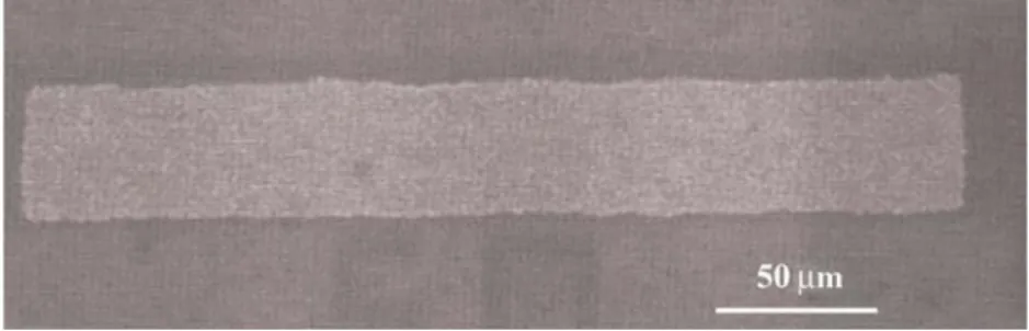 Fig. 10 The cross-sectional schematic drawing showing the structure of the Blech Sn film