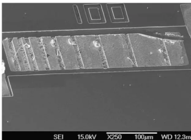 Fig. 14 Schematic drawing showing the controlled growth of Sn whiskers from the drilled holes in the anode end