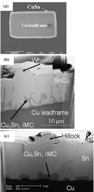 Fig. 2 (a) A cross-sectional SEM image of a leadframe leg with SnCu finish is shown. The rectangular core of Cu is surrounded by an approximate 15 lm thick SnCu finish