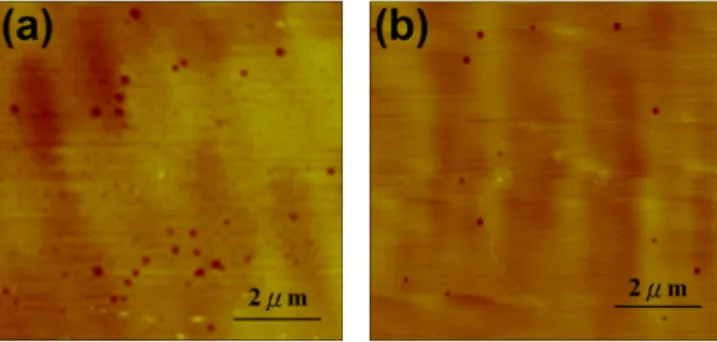 Fig. 6. (Color online) AFM image at the Ga-polar face of (a) the free- free-standing GaN and (b) the GaN substrate after chemical etching.