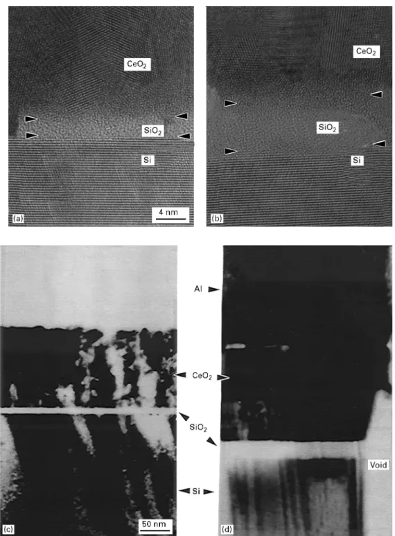Figure 4 Cross-sectional TEM images for A-films deposited at (a) 300 °C (b) 700 °C and for B-films deposited at (c) 500 °C and (d) 700 °C