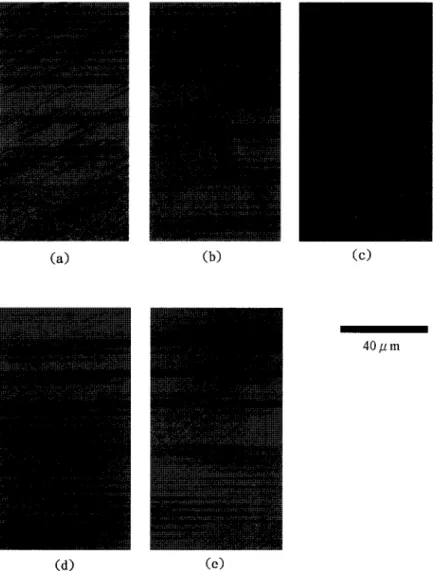 Fig.  2.  The  surface  morphologies  of  the  GaSb  layers  grown  at  525°C  with  a