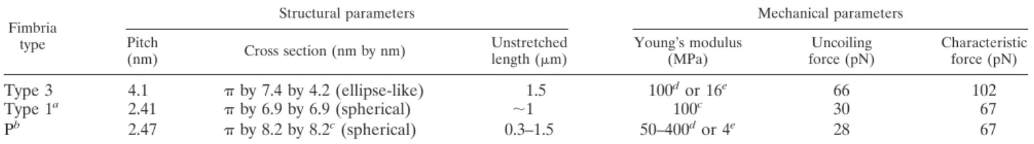 TABLE 1. Structural and mechanical parameters of type 3 fimbriae, type 1 fimbriae, and P fimbriae