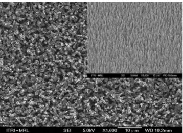 Fig. 1. The SEM images of the Mg in-diffused ZnO nanowires. The inset shows the original aligned ZnO nanowires.
