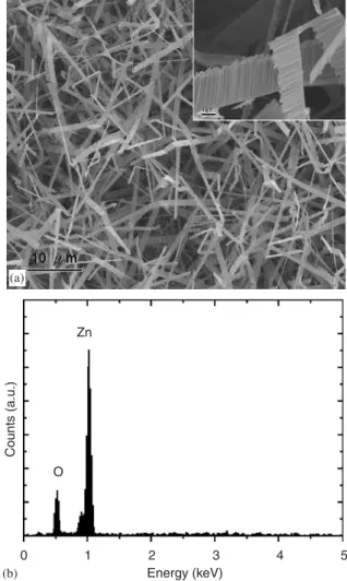 Fig. 3 shows the XRD pattern of the sample. All diffraction peaks and the corresponding relative intensities coincide with the JCPDS card no